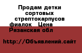 Продам детки сортовых стрептокарпусов,фиалок › Цена ­ 100 - Рязанская обл.  »    